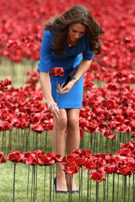 Красные маки у лондонского Тауэра. Герцогиня Кейт ‘сажает’ красный мак у лондонского Тауэра в 2014 г. 