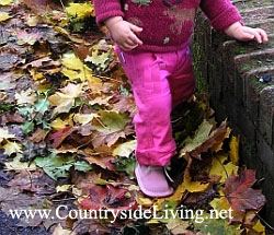 Опавшие осенние листья на дорожках естественного сада. Дочка гуляет осенью
