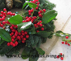 Мой рождественский венок 2011 г. из пихты, украшенный ветками и ягодами остролиста, бантом и покрытой золотом шишкой