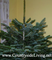Как улучшить внешний вид новогодней елки