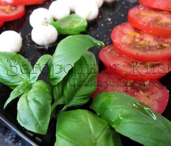 Салат каприйский (помидоры, моцарелла, базилик, оливковое масло)