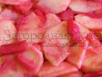 Пирог с ревенем и яблоками: красные стебли ревеня сделают начинку розовой