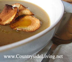 http://www.countrysideliving.net/img/cui/Topinambour_soup.jpg