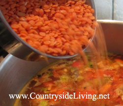 Суп из чечевицы красной. Чечевичный суп, рецепт и фото