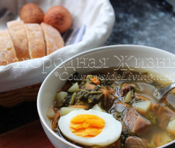 Щавелевый суп (щи с щавелем, зеленый борщ), рецепт и фото