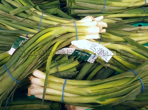 Как вырастить лук на подоконнике. Посадочный материал: зеленый лук батун с корнями из супермаркета.