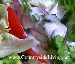 Свежий овощной салат, соус (заправка) 'ранчо' на кефире