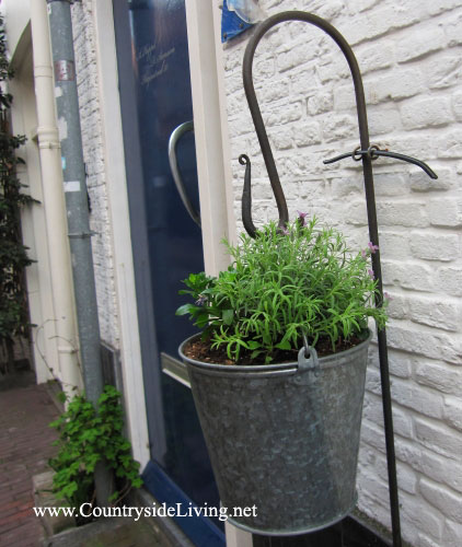 Контейнерные сады на улицах Амстердама