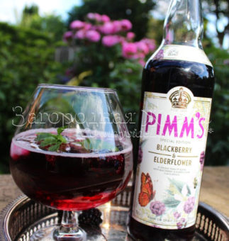 'Новый' Пиммс с ежевикой — английский коктейль, напиток, крюшон