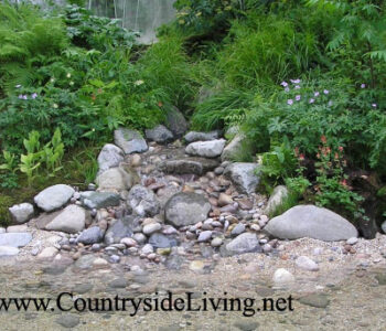 Участок на склоне. Дизайн: ручей в природном саду.