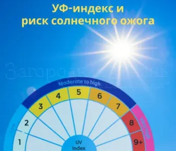 УФ-индекс и СПФ. Когда необходимо защищать кожу от солнца? УФ-индекс и риск солнечных ожогов. При каком УФ-индексе наносить СПФ? УФ-индекс и Правило тени. Витамин Д и солнце. Можно ли сгореть на солнце, если ты смуглый или чернокожий?