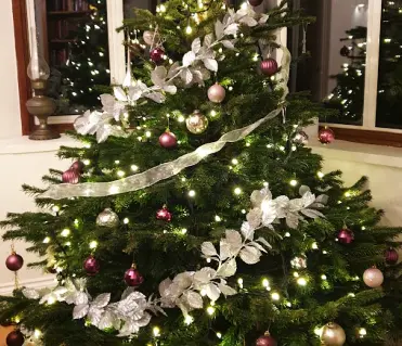 Грустный Новый Год 2023. Наша елка, декабрь 2022