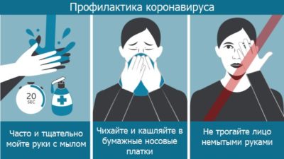 Профилактика коронавируса Ковид-19. Агитка британской NHS