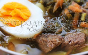 Щавелевый суп с яйцом (щи с щавелем, зеленый борщ), рецепт и фото