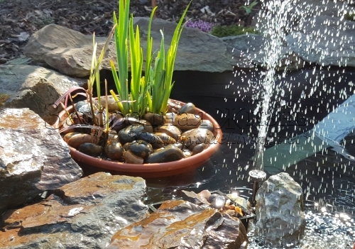 Наш садовый пруд. Аэрация воды в дачном пруду - фонтанчик на солнечной батарее