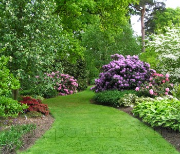 Функциональный газон-садовая дорожка в неформальном стиле, сад RHS Wisley, Суррей, Англия
