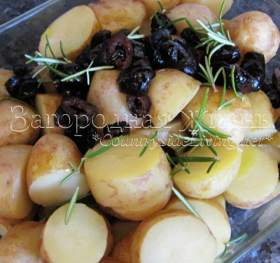 Молодой картофель, запеченный в духовке с вялеными оливами. Рецепт