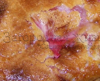 Ревеневый пирог: аппетитная корочка и необыкновенный розовый цвет