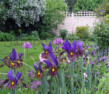 Светлый цвет для тенистых уголков сада. Белый забор зрительно расширяет и подсвечивает сад