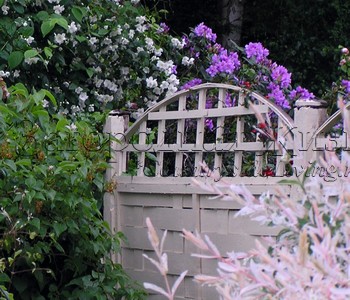 Белый цвет в саду делает участок просторнее и светлее. Белый забор и опоры для растений