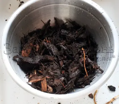 Я использую древесную щепу как субстрат для выращивания фаленопсисов. 